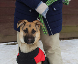 �������� �������(����� �����) ���� ���������� ������ - ���� 1 � ����������