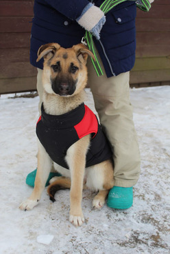 �������� �������(����� �����) ���� ���������� ������ - ���� 1 � ����������