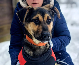 �������� ������� ���� ���������� ������ - ���� 1 � ����������