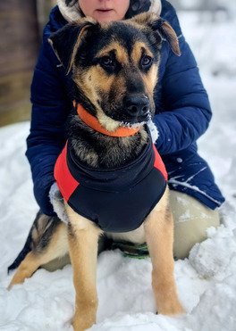 �������� ������� ���� ���������� ������ - ���� 1 � ����������