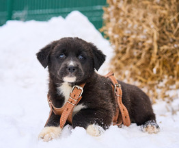 ����� ���� ���������� ������ - ���� 1 � ����������