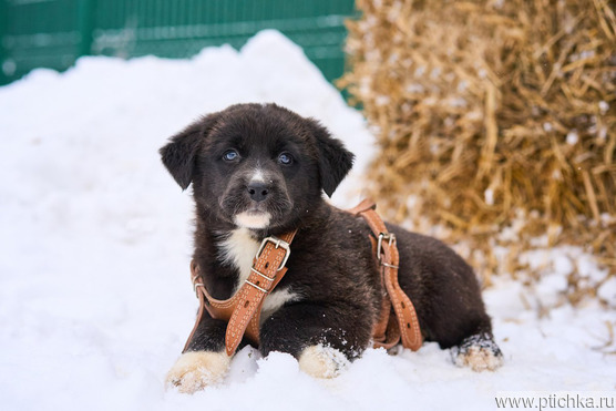 ����� ���� ���������� ������ - ���� 1 � ����������