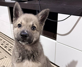 �������������� ����� ������� ������� ������� ����� - ���� 1 � ����������