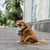 ����� - ��������� ��� ���� ���� ����� - ���� 5 � ����������