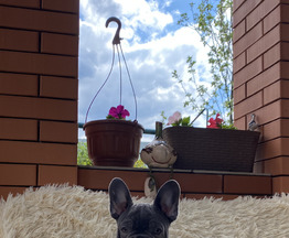 ��������� ����������� ������� - ���� 1 � ����������