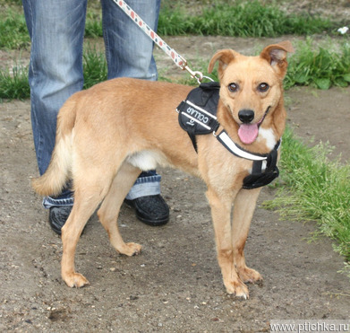 ������, �������������� ��� ������� � ������� ����� � ����! - ���� 1 � ����������