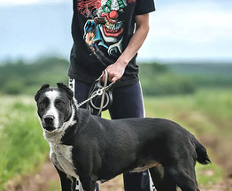 ������ ���� ���������� ������ - ���� 1 � ����������