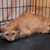 ����� ���� ���������� ������ - ���� 2 � ����������