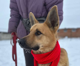 ������ ���� ���������� ������ - ���� 1 � ����������