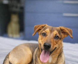 �������� 5 ��� ����� ���� ���� �����! - ���� 1 � ����������