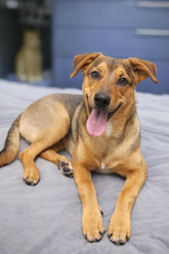 �������� 5 ��� ����� ���� ���� �����! - ���� 1 � ����������