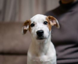 ���� ��� ����� �� ����� ������! - ���� 1 � ����������