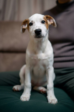 ���� ��� ����� �� ����� ������! - ���� 1 � ����������