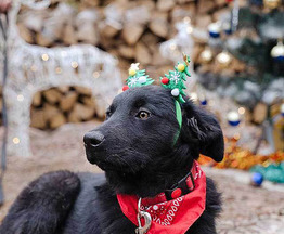 ������ ���� ���������� ������ - ���� 1 � ����������