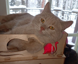 ����������� ��������������� ����� ���� ���������� ������ - ���� 1 � ����������