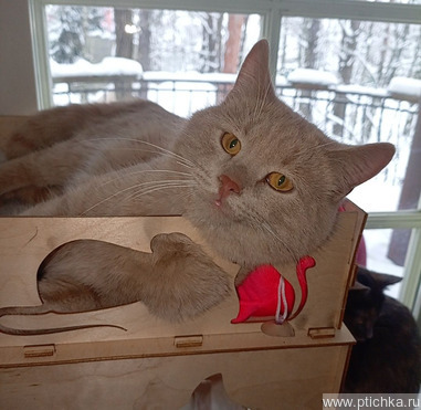 ����������� ��������������� ����� ���� ���������� ������ - ���� 1 � ����������