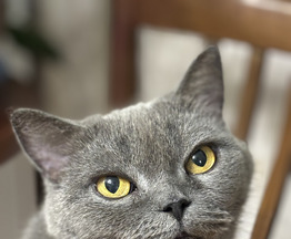 ���������� ����� ����� � ������ ���� - ���� 1 � ����������