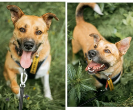 ����������� ���-��������� ��� ���� ���! - ���� 1 � ����������