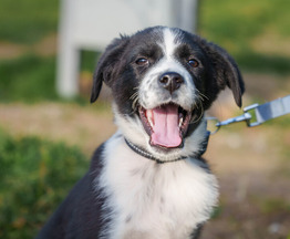 ��� ���������! � ������ ����. - ���� 1 � ����������