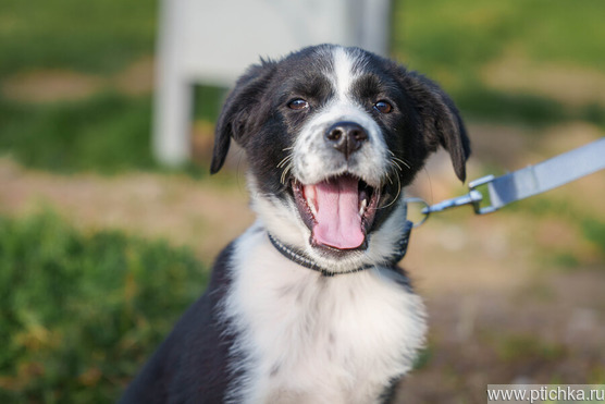 ��� ���������! � ������ ����. - ���� 1 � ����������