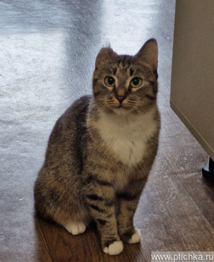 ���� ��� �������� ���������� ��������� �������� - ���� 1 � ����������