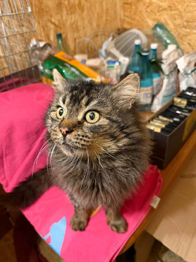 ���� ��������, � ������� ����� ��������� �� ������. �� ����� ����. - ���� 1 � ����������