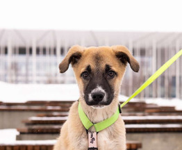 ������ ���� ���������� ������ - ���� 1 � ����������