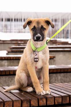 ������ ���� ���������� ������ - ���� 1 � ����������