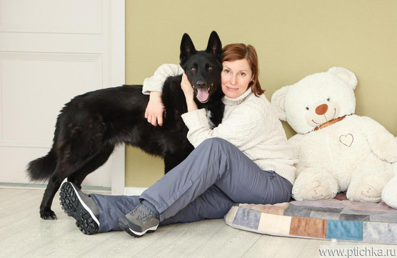 �������� ������� ���� ���������� ������ - ���� 1 � ����������