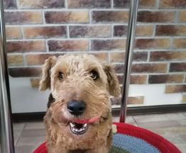 ����������� (����� ������) ���� ���������� ������ - ���� 1 � ����������