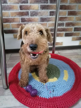 ����������� (����� ������) ���� ���������� ������ - ���� 1 � ����������