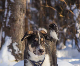 ����� � ������� �����! - ���� 1 � ����������