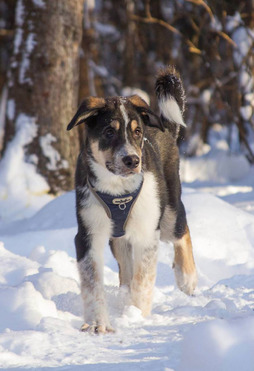 ����� � ������� �����! - ���� 1 � ����������