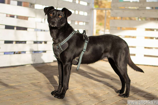 ������ ���� ���������� ������ - ���� 1 � ����������