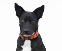 �������� ������� ����� ���� ��� � �����! - ���� 1 � ����������