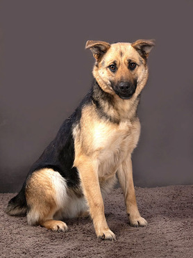 ������ ���� ���������� ������ - ���� 1 � ����������