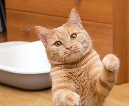 ���� ����� �����! - ���� 1 � ����������