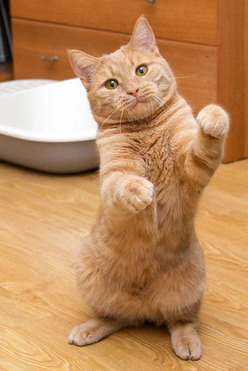 ���� ����� �����! - ���� 1 � ����������