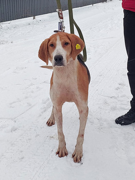 ������� ������ ���� ���������� ������ - ���� 1 � ����������