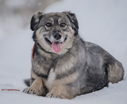 ��������, ��������������, ���������� �������� ���� ���� �����, ������� � ����. - ���� 1 � ����������