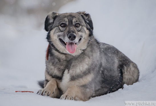 ��������, ��������������, ���������� �������� ���� ���� �����, ������� � ����. - ���� 1 � ����������