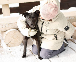 �������� �������� ���� ���������� ������ - ���� 1 � ����������