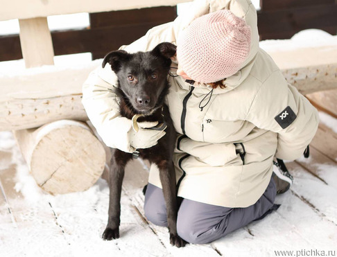 �������� �������� ���� ���������� ������ - ���� 1 � ����������