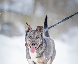 ��������, ������ ������ ���� ������� � ������ ����� � ���� - ���� 1 � ����������