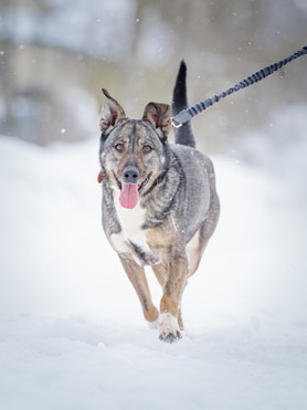 ��������, ������ ������ ���� ������� � ������ ����� � ���� - ���� 1 � ����������