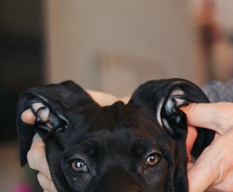 ���� ����� ���� ������ Ka�e K���� � �� ���� ����! - ���� 1 � ����������