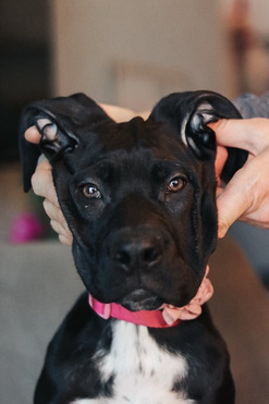 ���� ����� ���� ������ Ka�e K���� � �� ���� ����! - ���� 1 � ����������