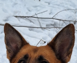 �������� ������ ���� � ������� ���� - ���� 1 � ����������