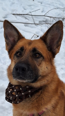 �������� ������ ���� � ������� ���� - ���� 1 � ����������