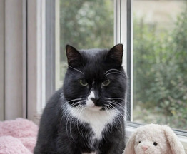 �������� � �������� ����� ��� � ������ ���� - ���� 1 � ����������